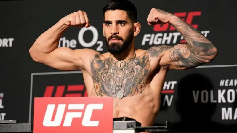 Categorías - Apuestas UFC Chile 2025