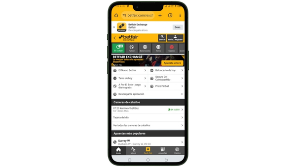 Usabilidad y Experiencia del Usuario de Betfair