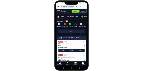 Usabilidad y Experiencia del Usuario de Winpot