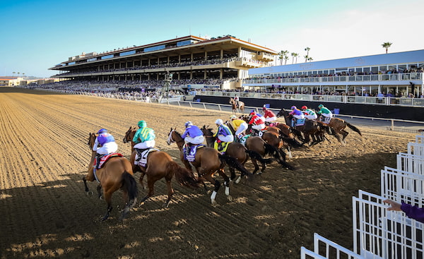 Breeders Cup Classic - Carreras de caballos en casas de apuestas de España 2025