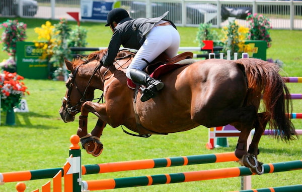 Tipos de carreras - Carreras de caballos en casas de apuestas de España 2025