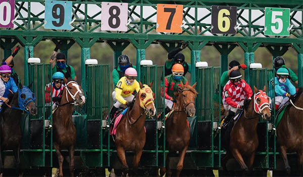 Cómo son las Carreras de Caballos