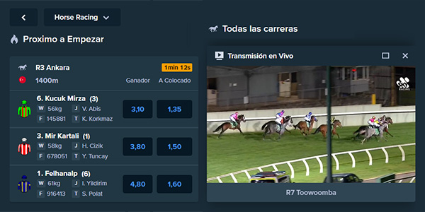 Herramientas de Apuesta para Carreras de Caballos: Transmisión en Vivo 