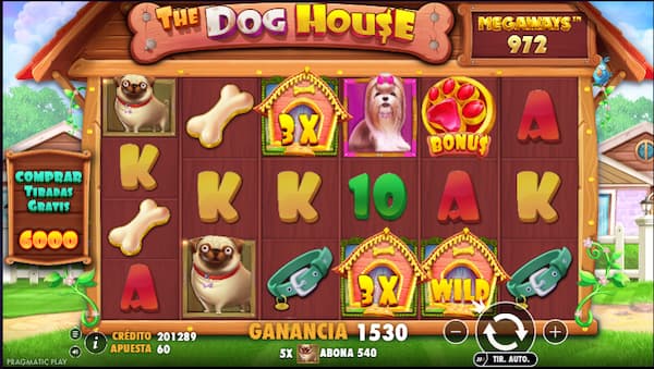 Como se juega The Dog House Megaways