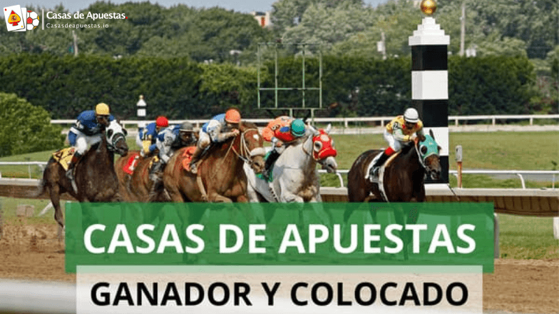 Ganador y Colocado en Casas de Apuestas de España